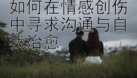 如何在情感创伤中寻求沟通与自我治愈