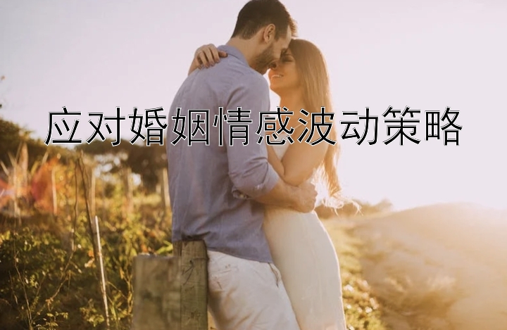 应对婚姻情感波动策略