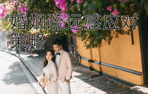 婚姻疏远感应对策略