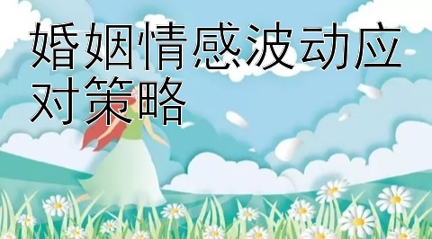 婚姻情感波动应对策略