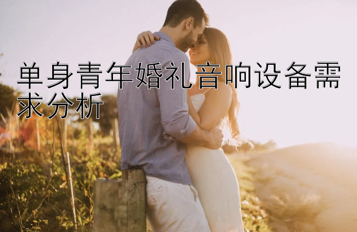 单身青年婚礼音响设备需求分析