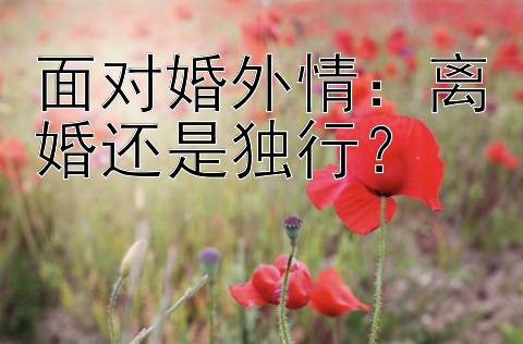 面对婚外情：离婚还是独行？