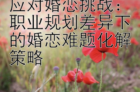 应对婚恋挑战：职业规划差异下的婚恋难题化解策略