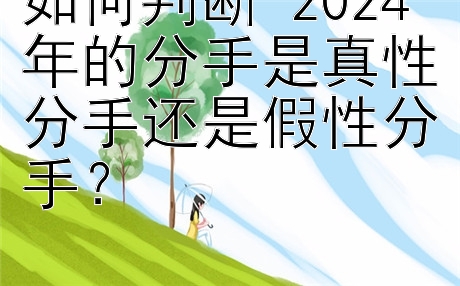 如何判断 2024 年的分手是真性分手还是假性分手？